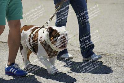 media/May-25-2024-Extreme Speed (Sat) [[ff5282e877]]/Around the Pits/